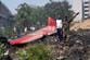 ‘Multiple bird hits’ may have caused deadly Air India plane crash, says expert