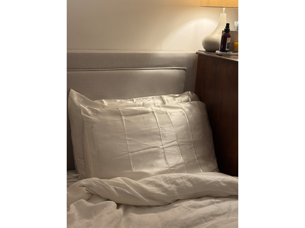 Slip pure silk zippered pillowcase .png