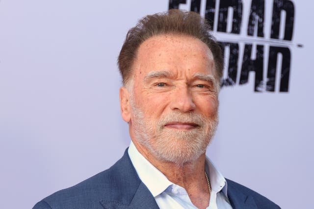 <p>Arnold Schwarzenegger se pronunció a favor de la reforma de la inmigración y pidió la cooperación bipartidista para “resolver este problema”</p>