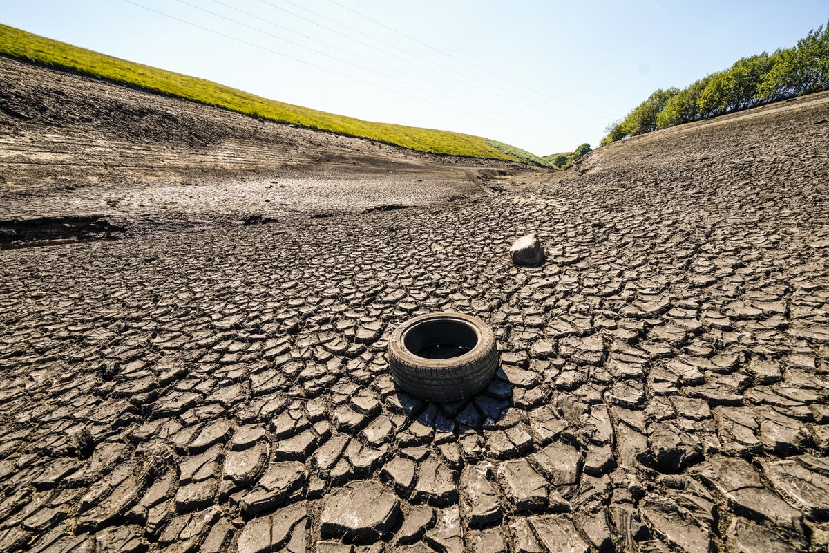 The UK food imports most at risk from ‘El Nino’ heat stress 