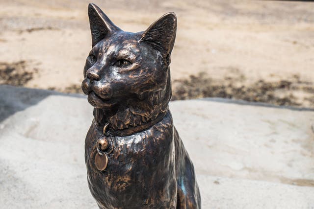 Hendrix the cat’s bronze statue in Saltburn, where he was a popular attraction for visitors (Redcar and Cleveland Council/PA)