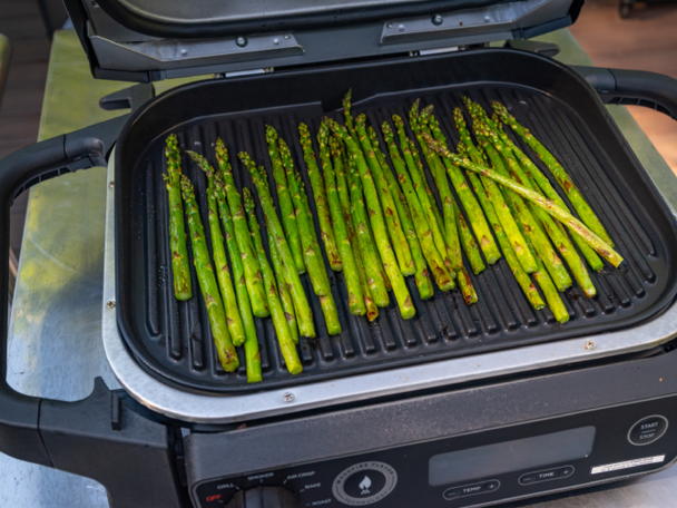 Ninja woodfire grill indybest review