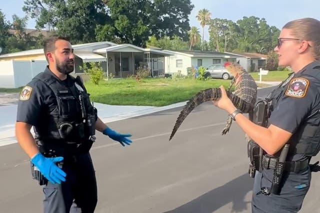 <p>Florida police officer Christopher Martinez is going viral for his reaction to his first-ever gator encounter. </p>