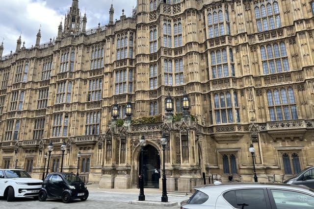 The Peers’ Entrance to the House of Lords (PA)