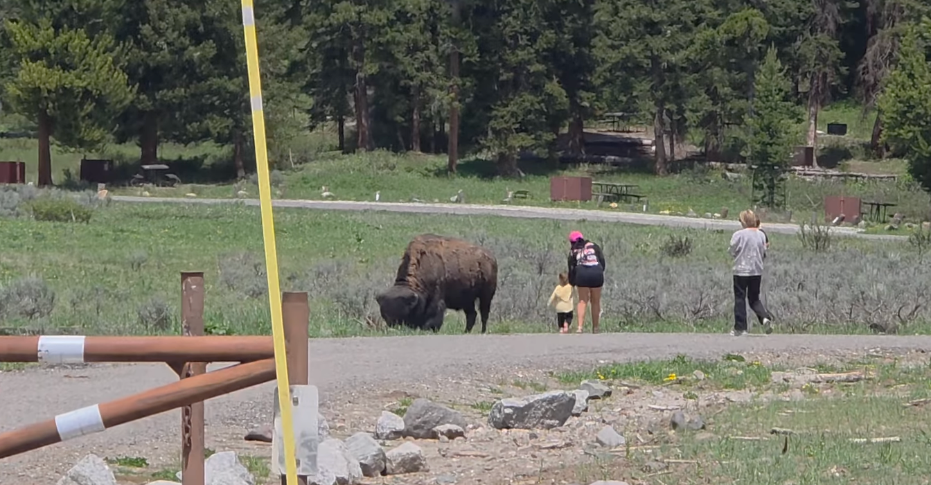 The people appeared to have ignored warning signs around the area