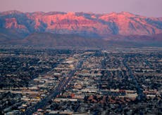 Four dogs die locked in hot car while owner got ‘plastered’ in Vegas