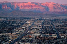 Four dogs die locked in hot car while owner got ‘plastered’ in Vegas