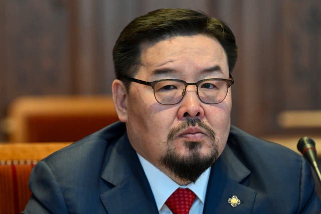 Mongolia Politics