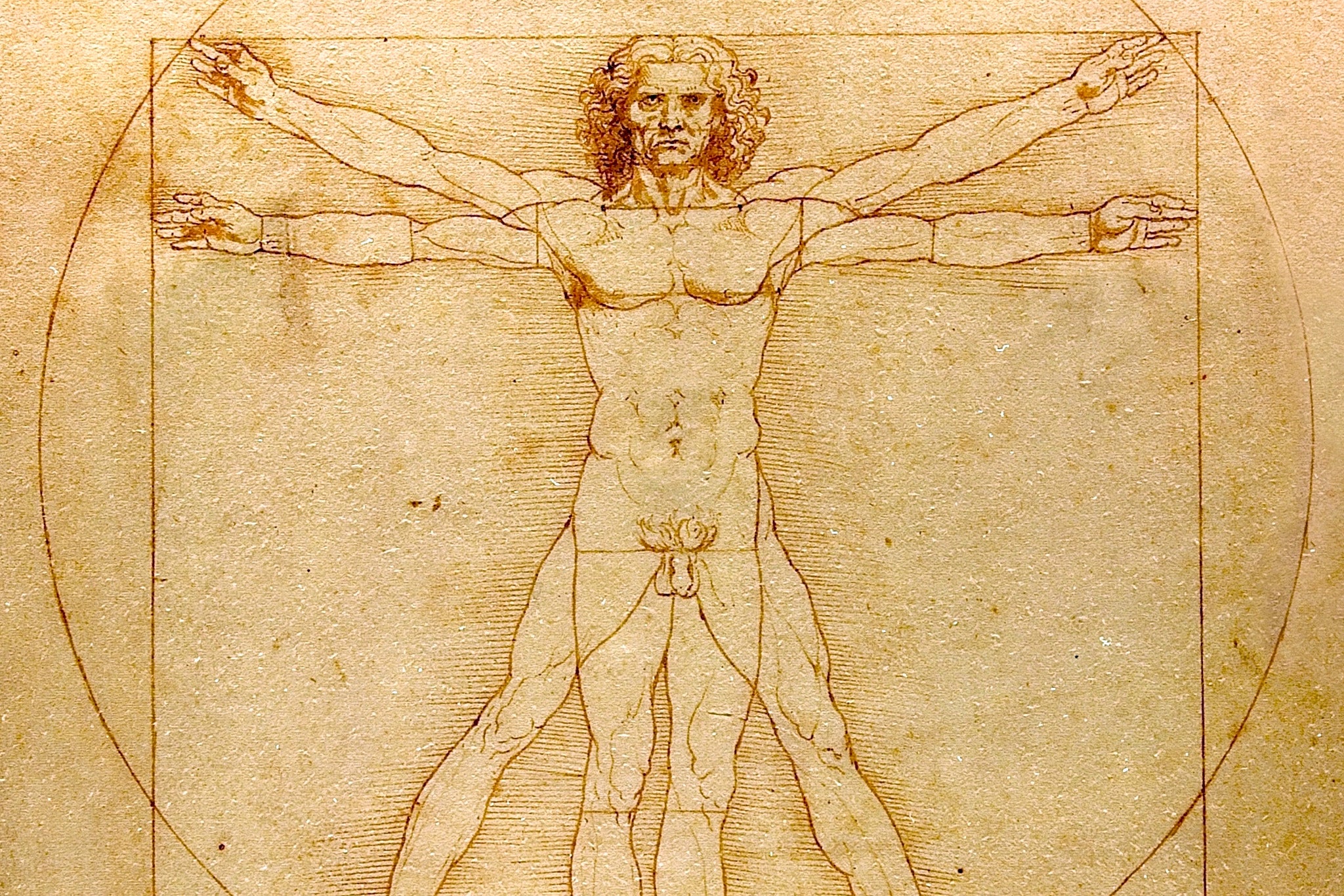 The famous ‘Vitruvian Man’ drawing by Leonardo da Vinci
