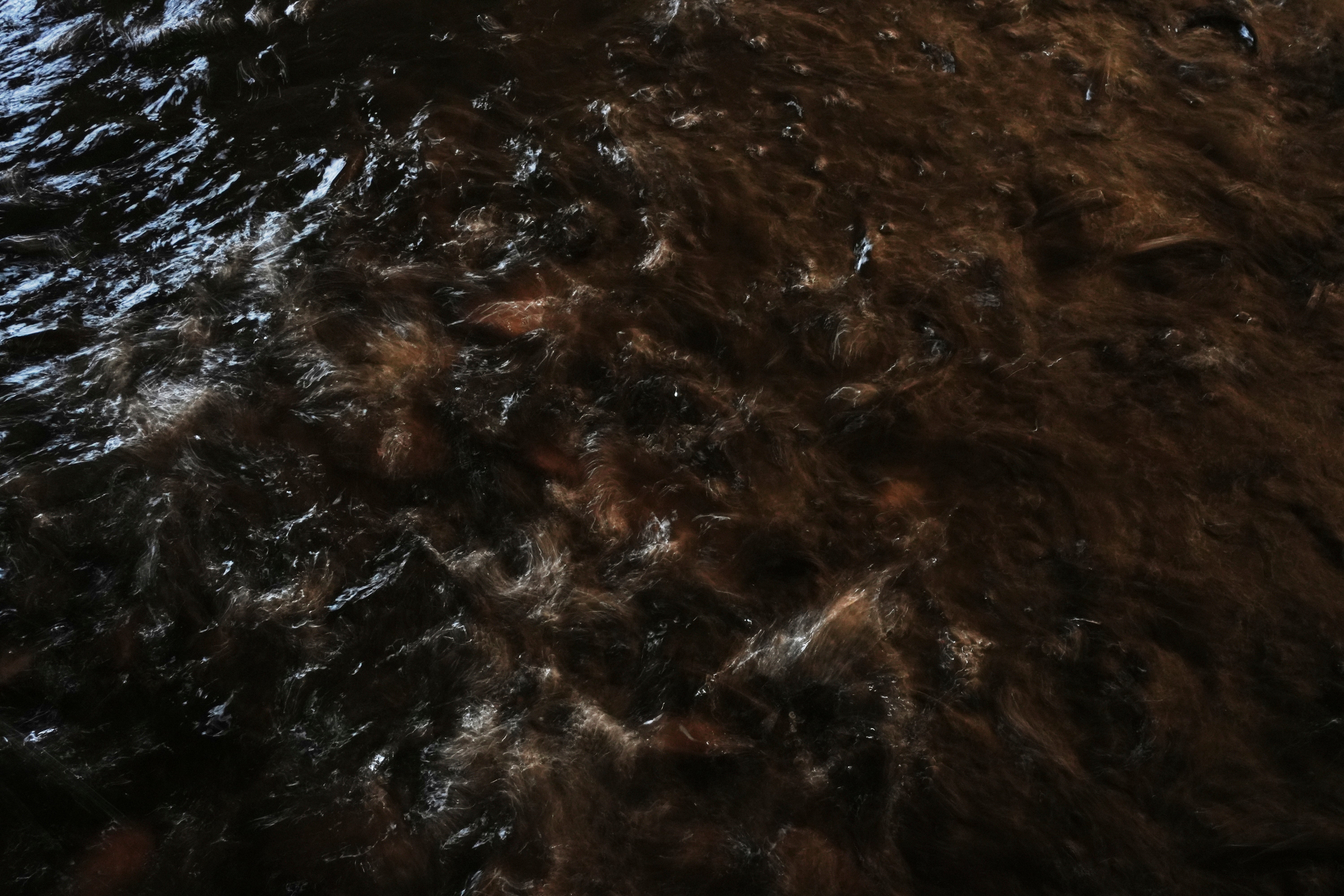 Climate Desert Fish Farms