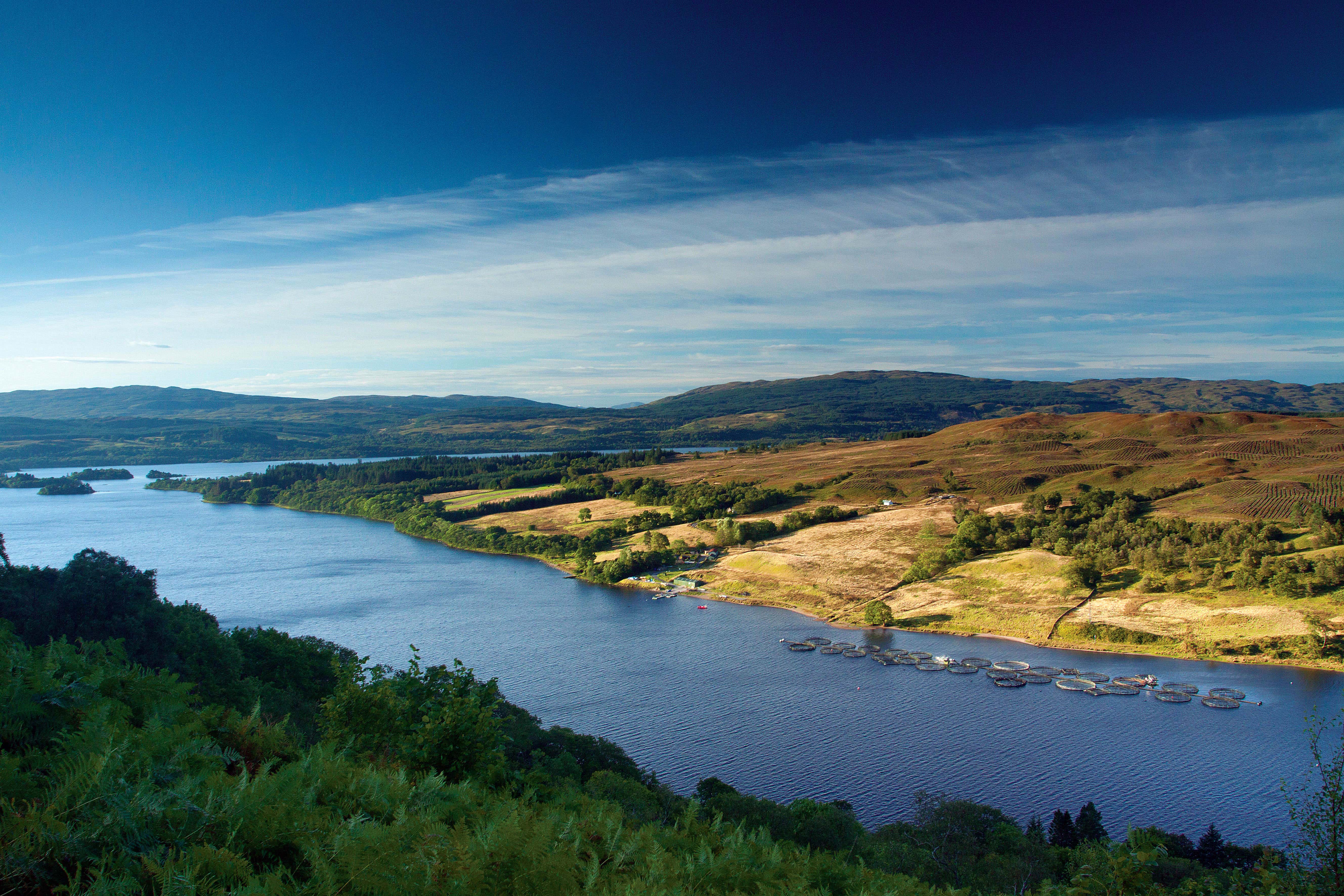 The pair were found dead near Loch Awe (PA)