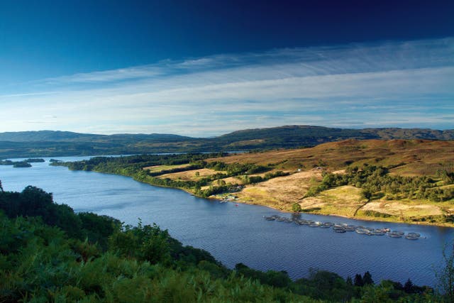 The pair were found dead near Loch Awe (PA)