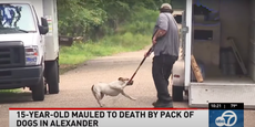 Teen girl killed by pack of neglected dogs as she tried to help them, neighbors say