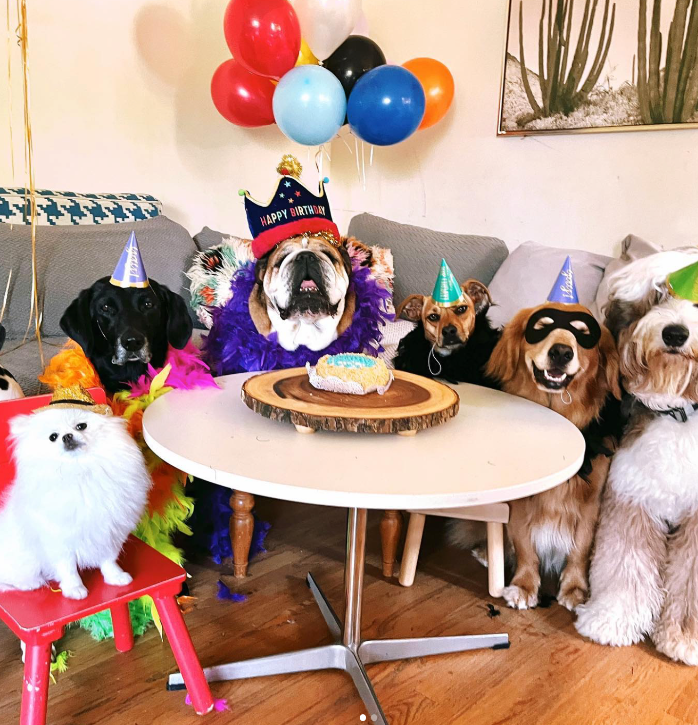Lewis Hamilton indulges his bulldog Roscoe (third left) on his birthday