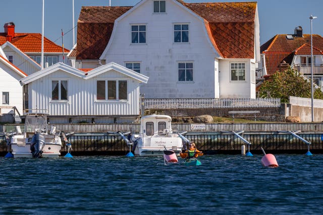 <p>A paddle with the oystercatchers on Vrångö island</p>