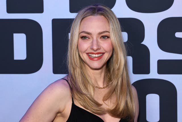 <p>Amanda Seyfried said she's tired of sequels, but would do 'Mamma Mia! 3' in a 'heartbeat'</p>