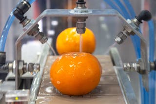 Exciting times: Emerging technologies are reshaping what’s possible