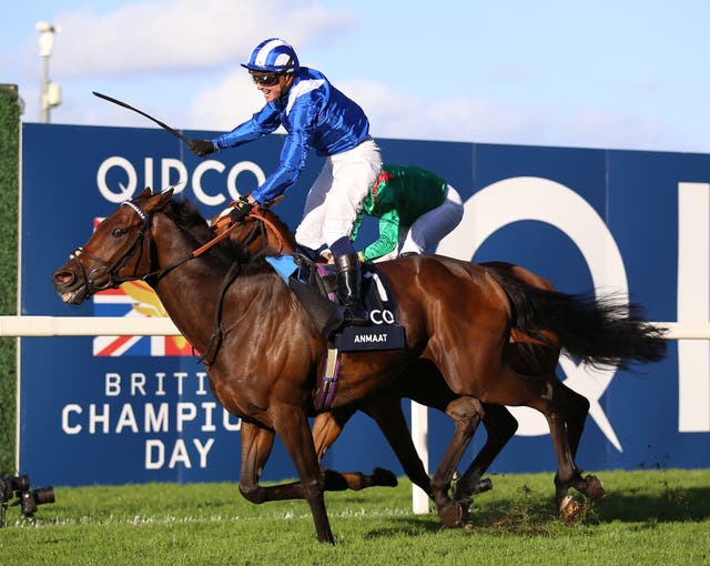 <p>Anmaat is set to clash with Los Angeles in the Prince of Wales's Stakes at Royal Ascot</p>