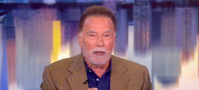 <p>Arnold Schwarzenegger appeared on 'The View,' where he addressed immigration reform</p>