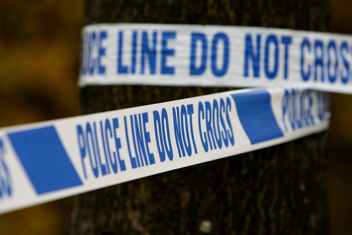 Man dies after skydive in Devon, police say – UK Times