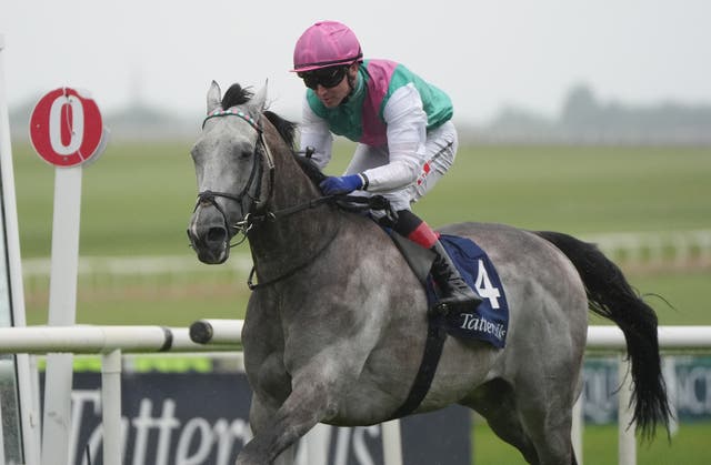 <p>NetBet are offering 40/1 enhanced odds on Field Of Gold to win St James’s Palace Stakes</p>