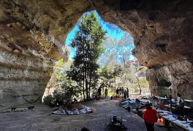 <p>Dargan Shelter on Dharug Country in upper Blue Mountains</p>