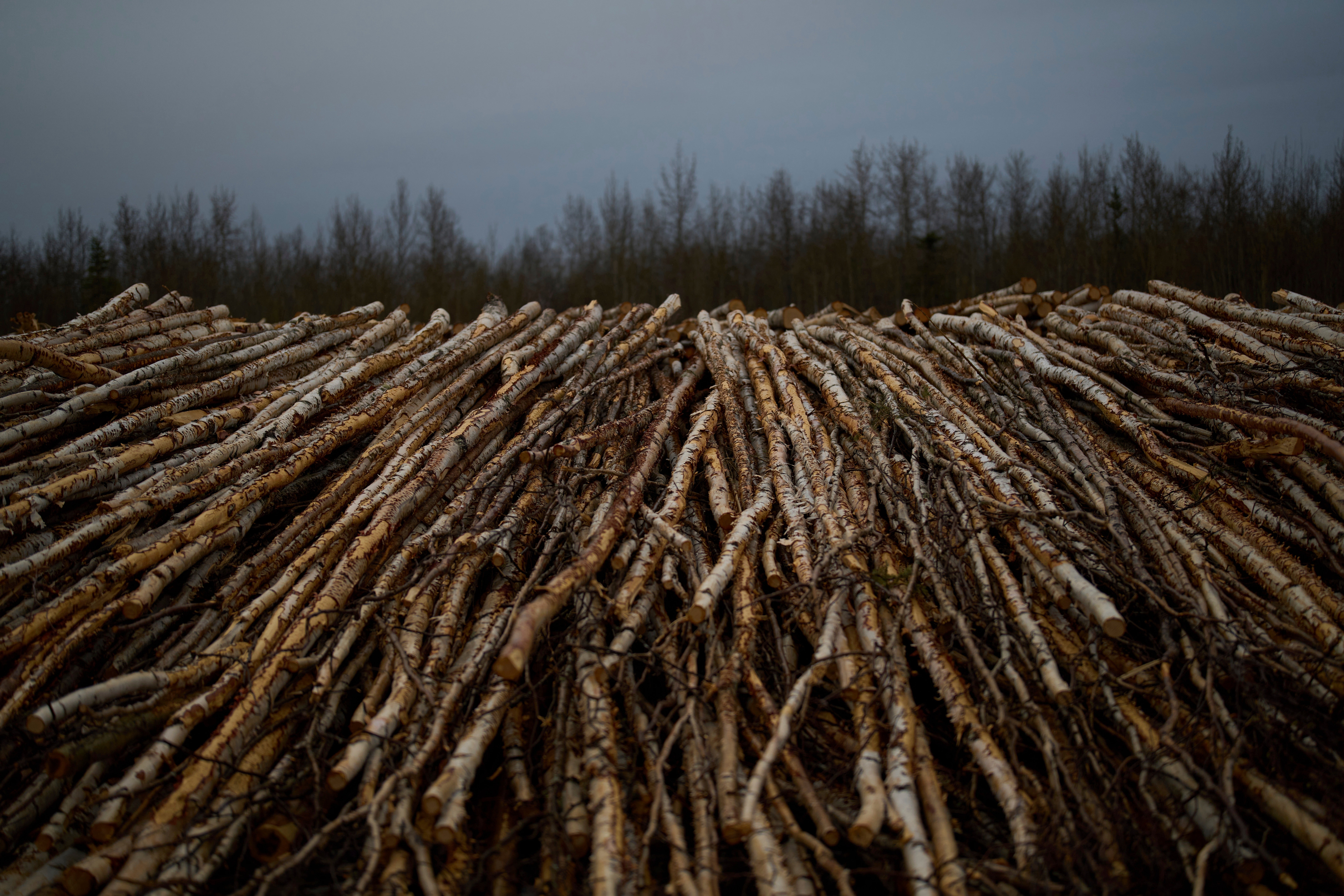 Climate Alaska Renewable Community