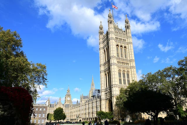 The historical estate provides an ideal habitat for problematic pests, such as mice (PA/Ian West)