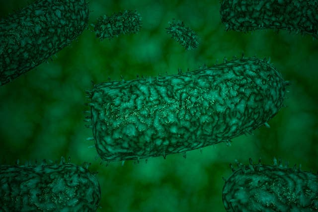 The woman died in hospital back in the UK, it is understood (Alamy/PA)