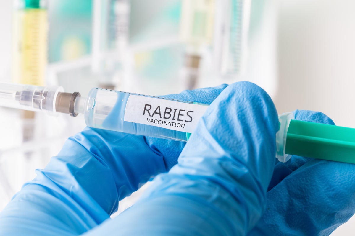Rabies: What are the symptoms and how to get a vaccine? Rabies: What are the symptoms and how to get a vaccine?