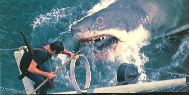 <p>Roy Scheider as Martin Brody in ‘Jaws’, which celebrates its 50th anniversary</p>