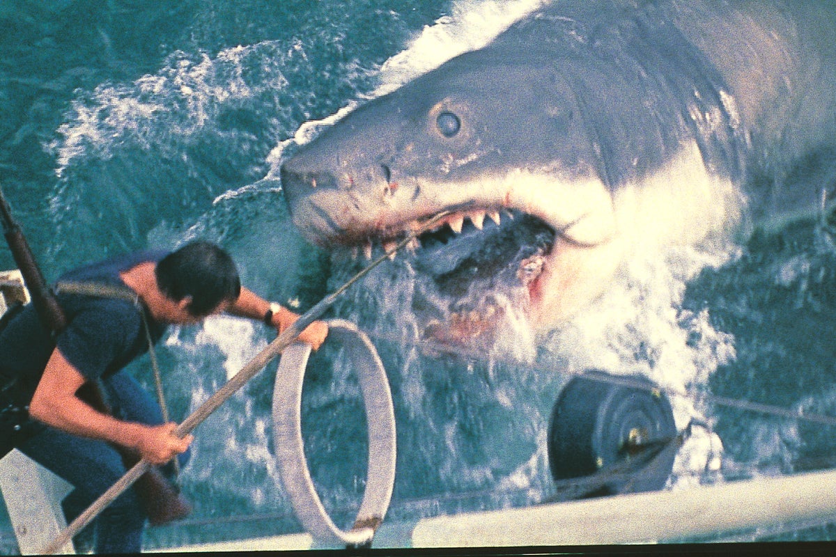 Jaws and effect: How Spielberg’s epic changed our relationship with sharks forever
