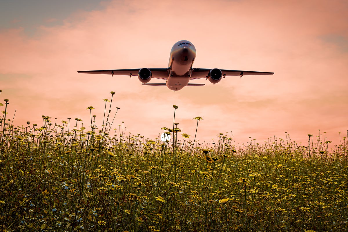 Planes could one day run on thin air — here’s how