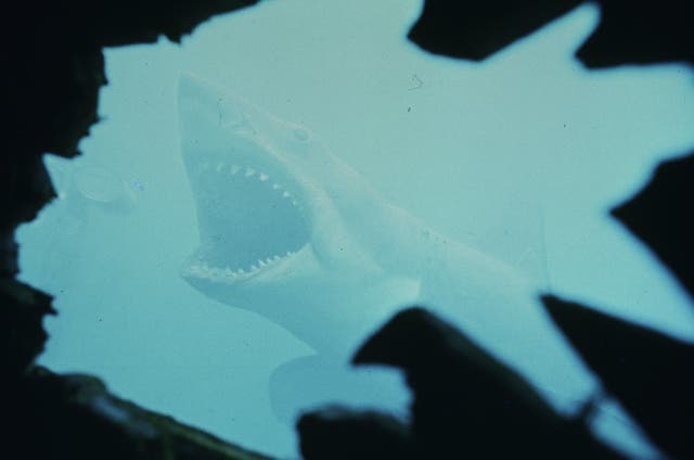 JAWS-50