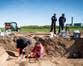 ‘Very rare’ Viking grave uncovered in Denmark by accident