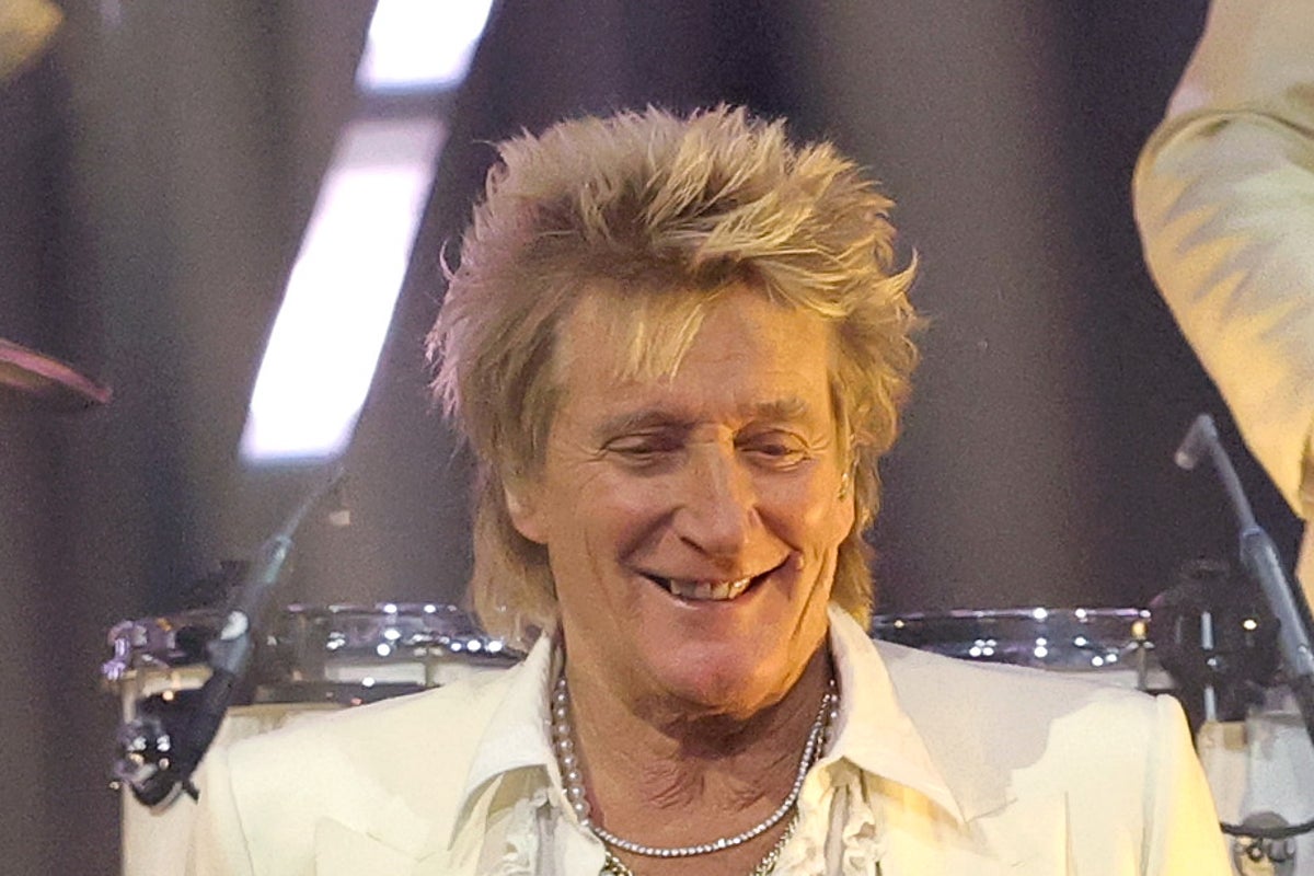 Rod Stewart comes out in support of Reform UK