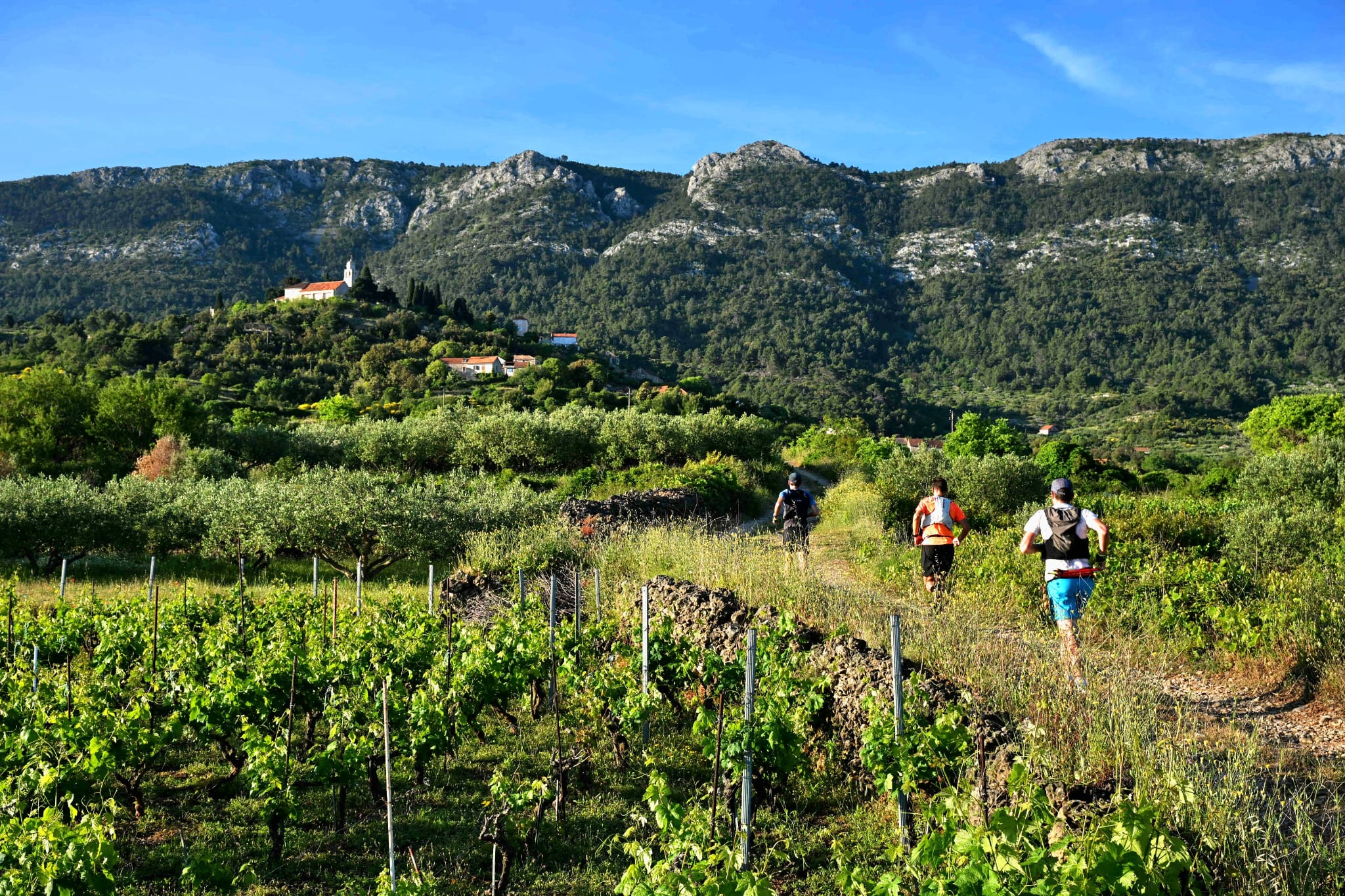 The Tour de Hvar trail run in Hvar, Croatia threads through mountain scenery and vineyards