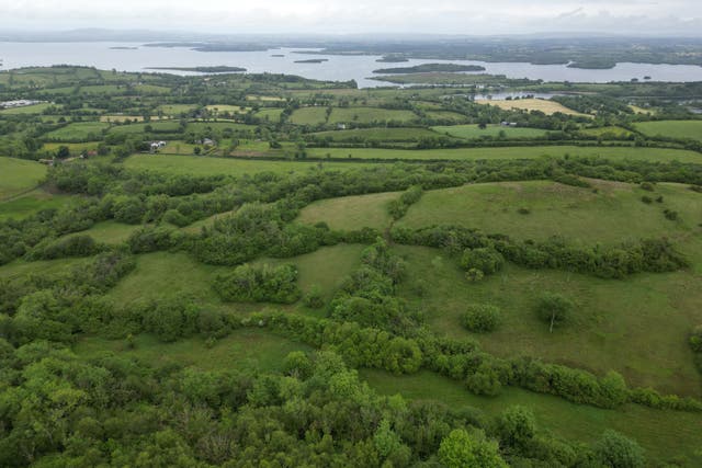 A view across the species-rich grasslands and ancient woodland of Fedian Nature Reserve, overlooking Lough Erne – a unique 90-acre farmland haven which has now been secured for nature by Ulster Wildlife (UlsterWildlife/PA)