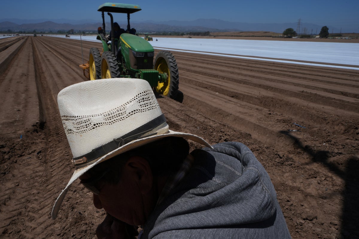 ICE raids and their uncertainty scare off workers and baffle businesses