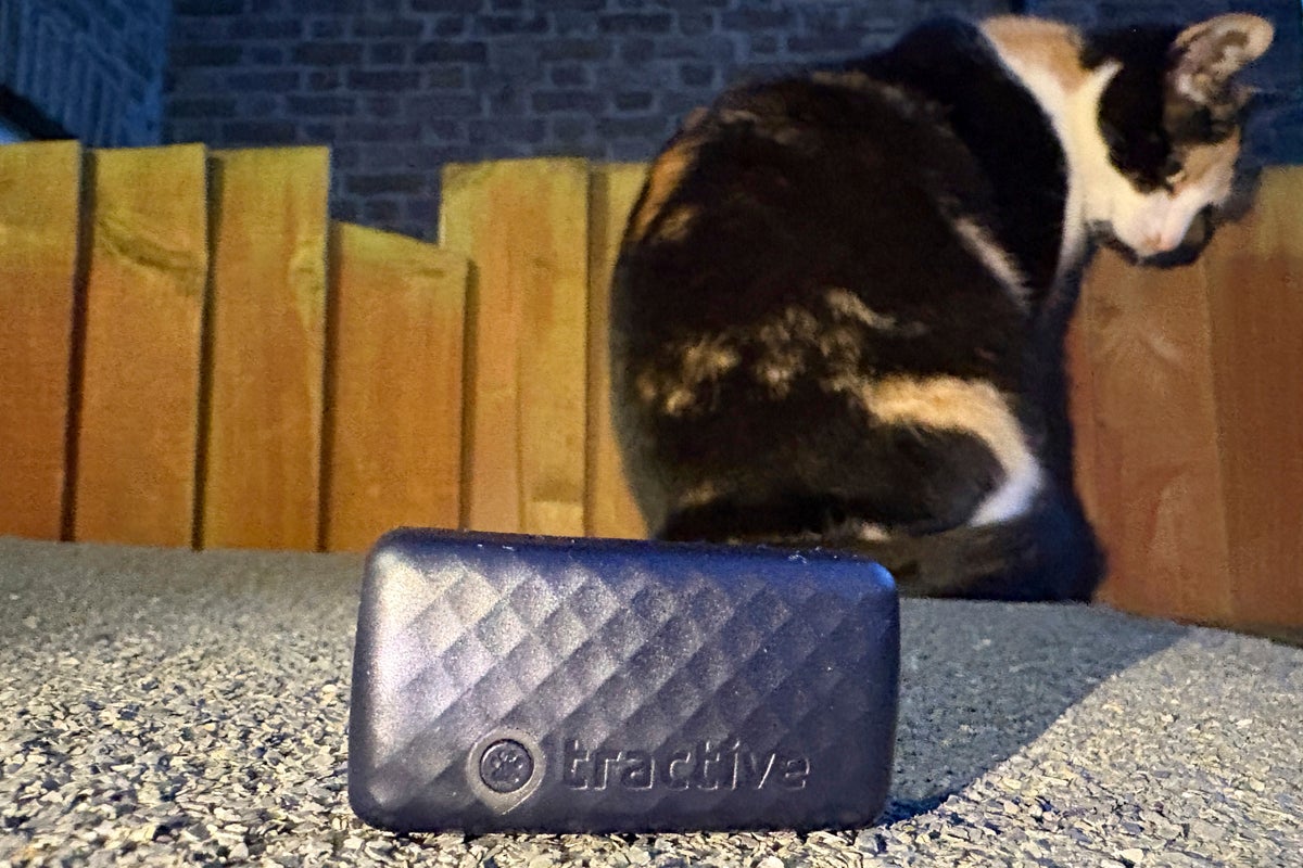 One Tech Tip: No more lost cats and dogs. Use tech to track your pet