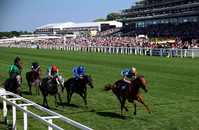 <p>There have already been plenty of surprises this week at Royal Ascot</p>