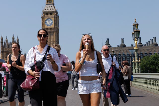 <p>The London Fire Brigade (LFB) has warned Londoners against using disposable barbecues</p>