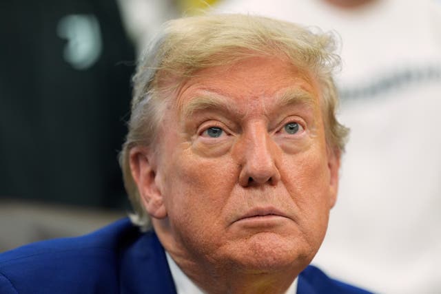 <p>TRUMP JUEZ</p>