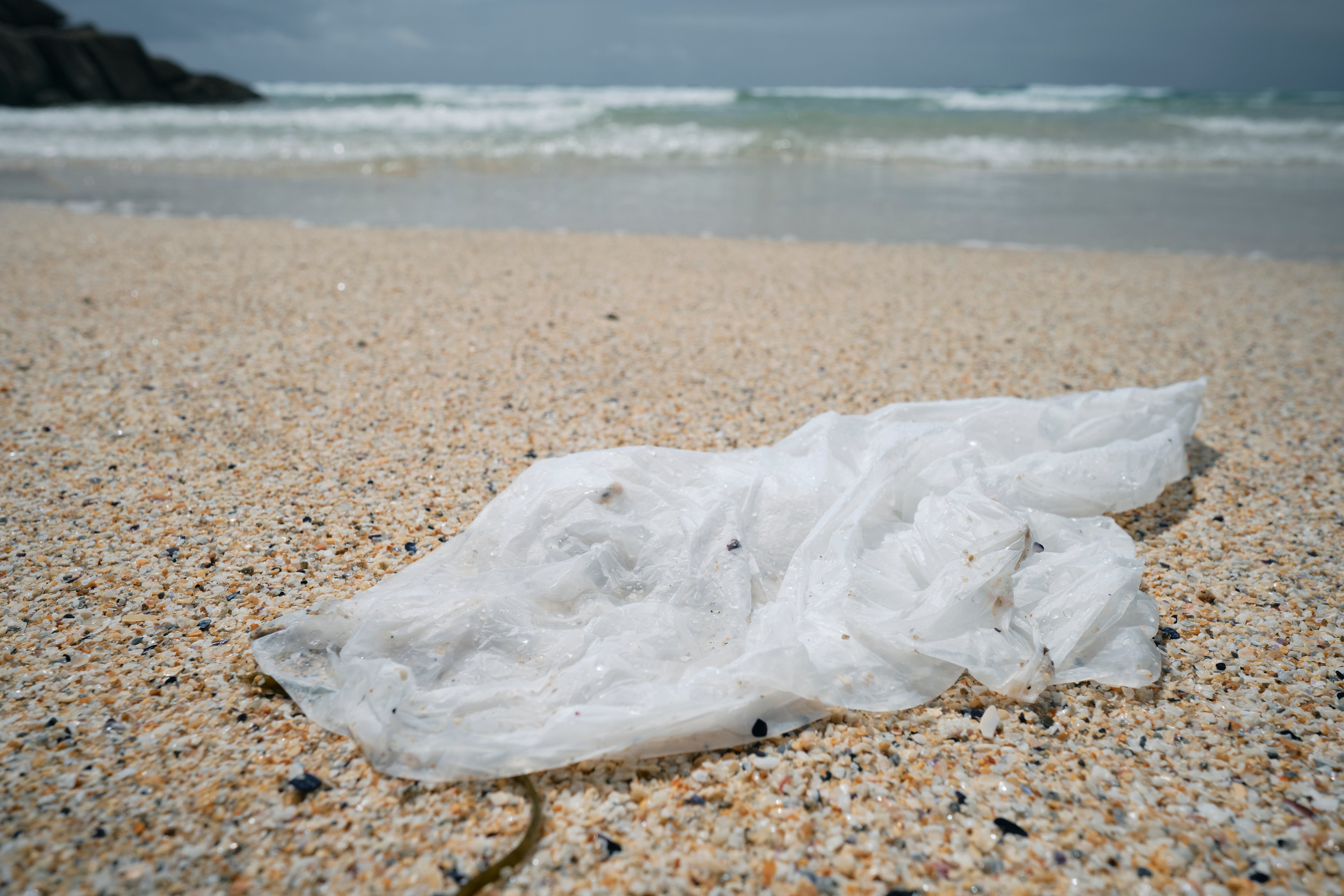 Researchers found a 25 to 47 percent decrease in the number of plastic shopping bags that are littered on shorelines in areas with bans and regulations