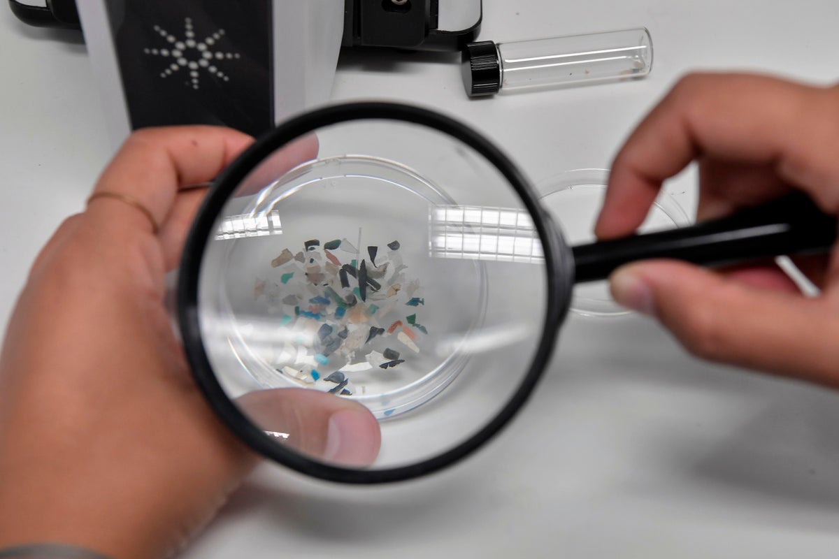 Common vegetable extract found to remove most microplastics from water