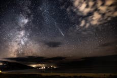 Scientists make ‘space mice babies’ – and they could allow us to explore the universe