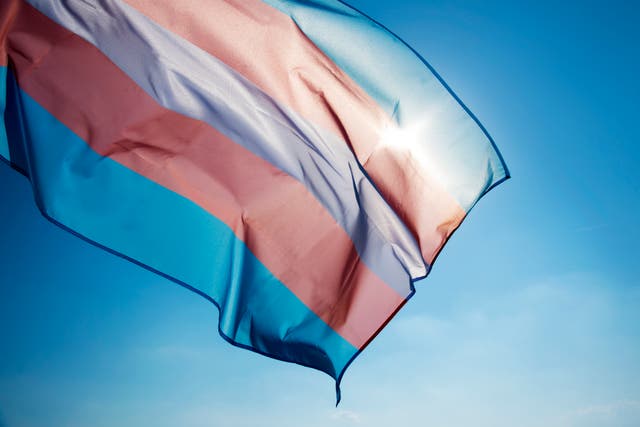 <p>Several leading mental health charities have written to a government minister, warning new guidance on single-sex spaces poses a “major risk” to the mental health of transgender and non-binary people</p>
