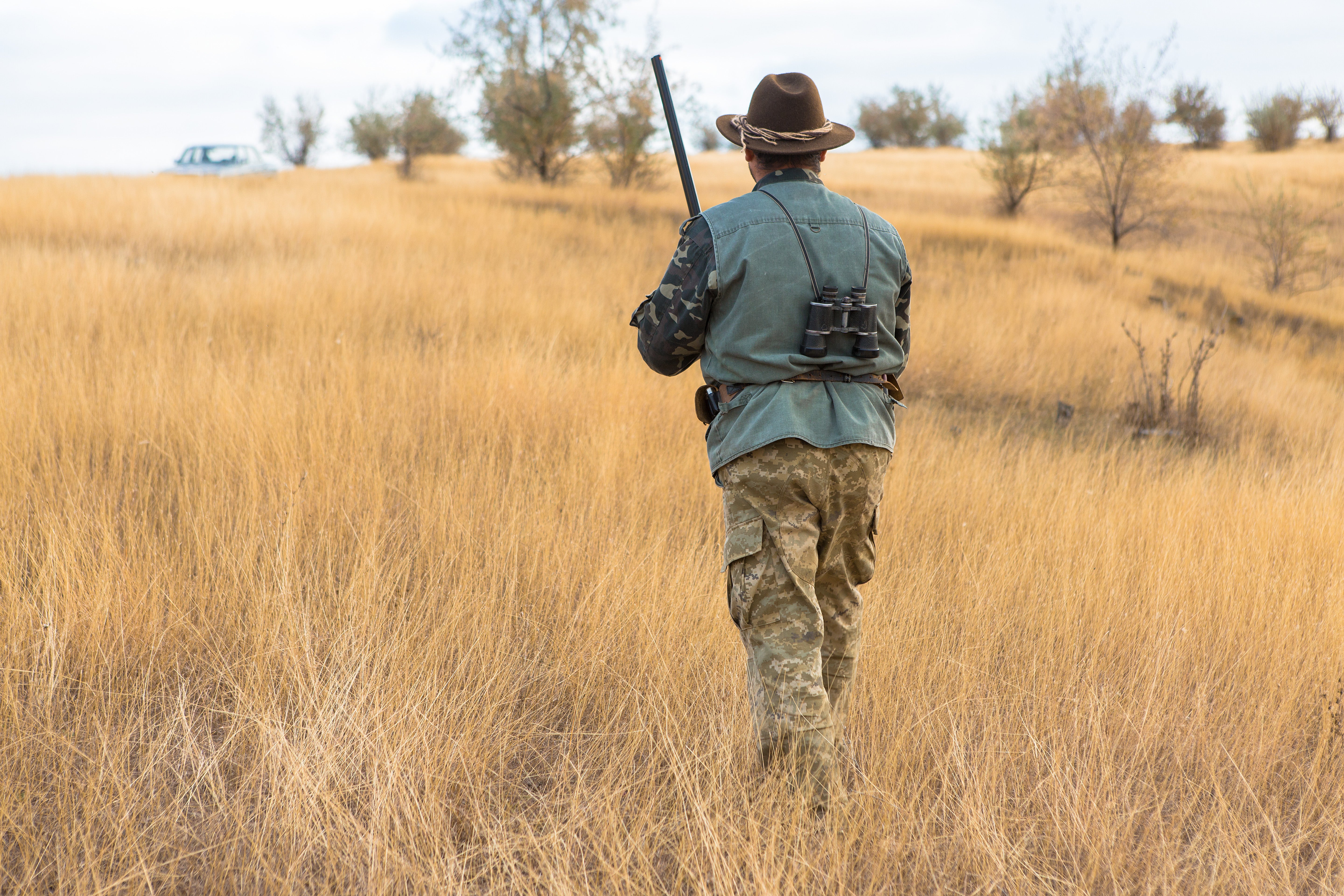 More than half of giraffe trophy-hunters were American but 21 brought tropies back to the UK