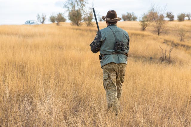 More than half of trophy-hunters were American but 21 brought tropies back to the UK