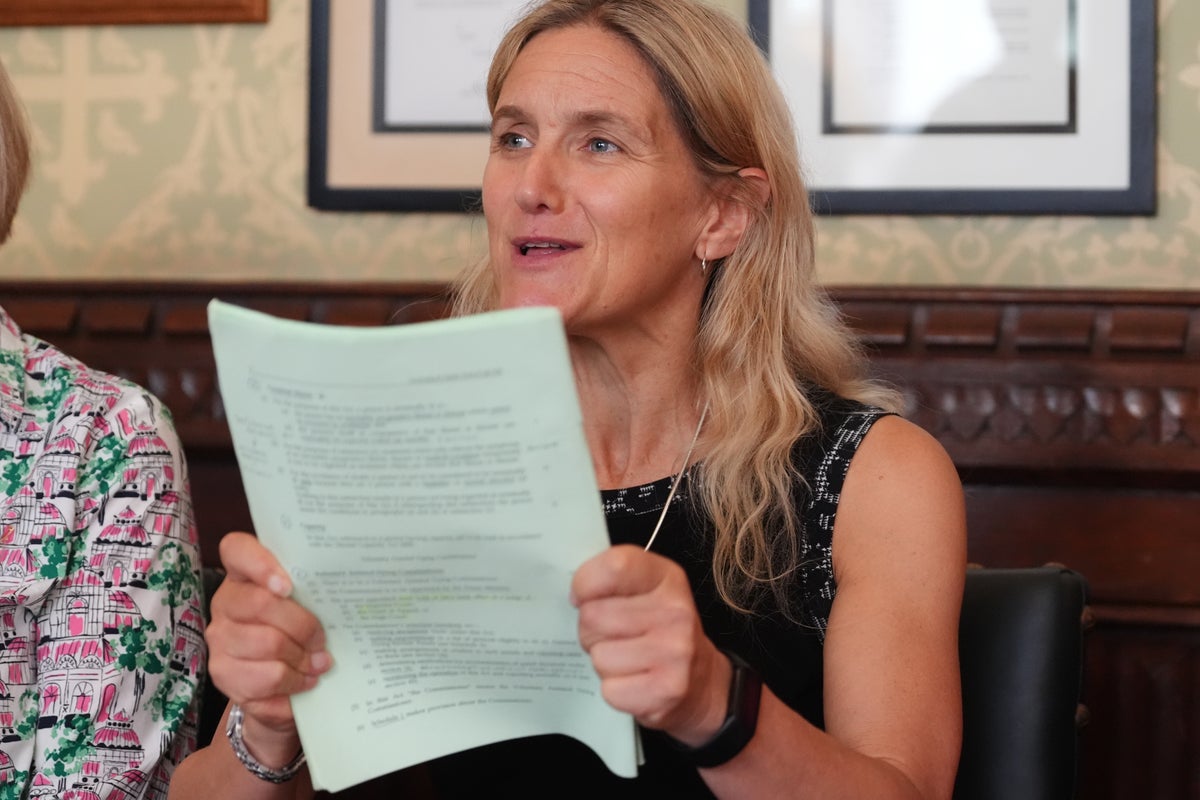 Why the ‘individual conscience vote’ of MPs had its own assisted death last week
